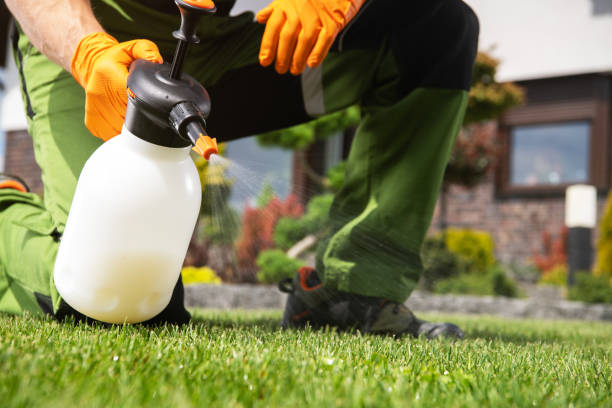 Insect Control in Garberville, CA