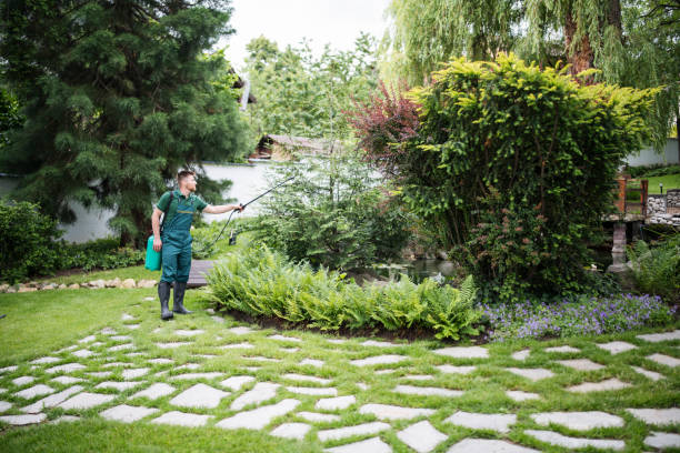 Best Best Pest Control Companies  in Garberville, CA