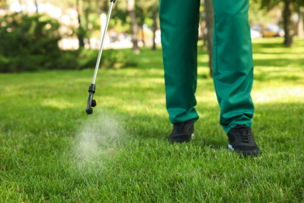 Best Pest Control Near Me  in Garberville, CA