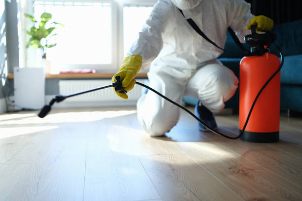 Best Mosquito Control Services  in Garberville, CA