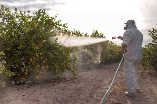 Best Affordable Pest Control Services  in Garberville, CA