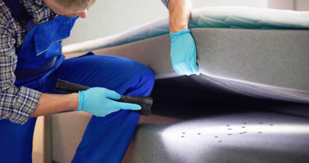 Best Wasp Removal Services  in Garberville, CA