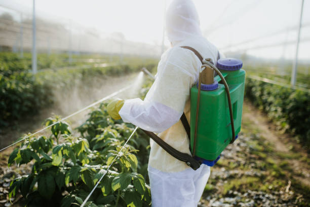 Best Rat Extermination Near Me  in Garberville, CA